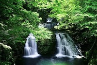 Torii